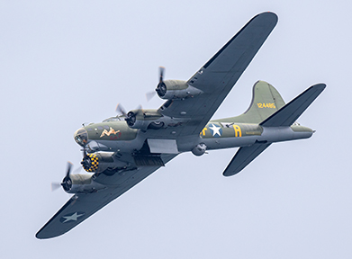 Sally B